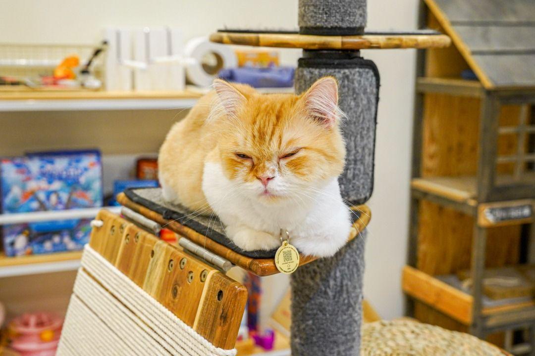 슬라이더 이미지