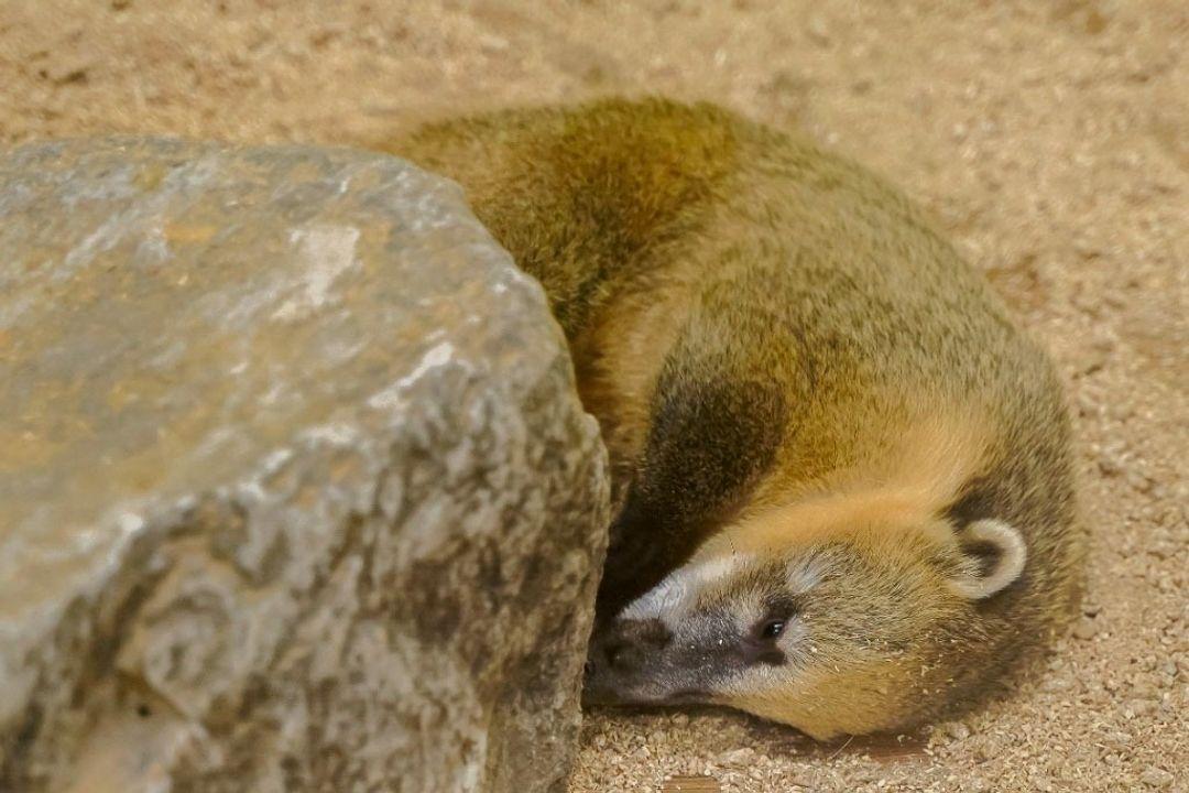 슬라이더 이미지