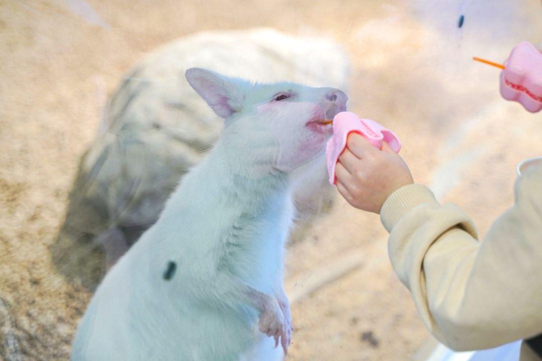 슬라이더 이미지