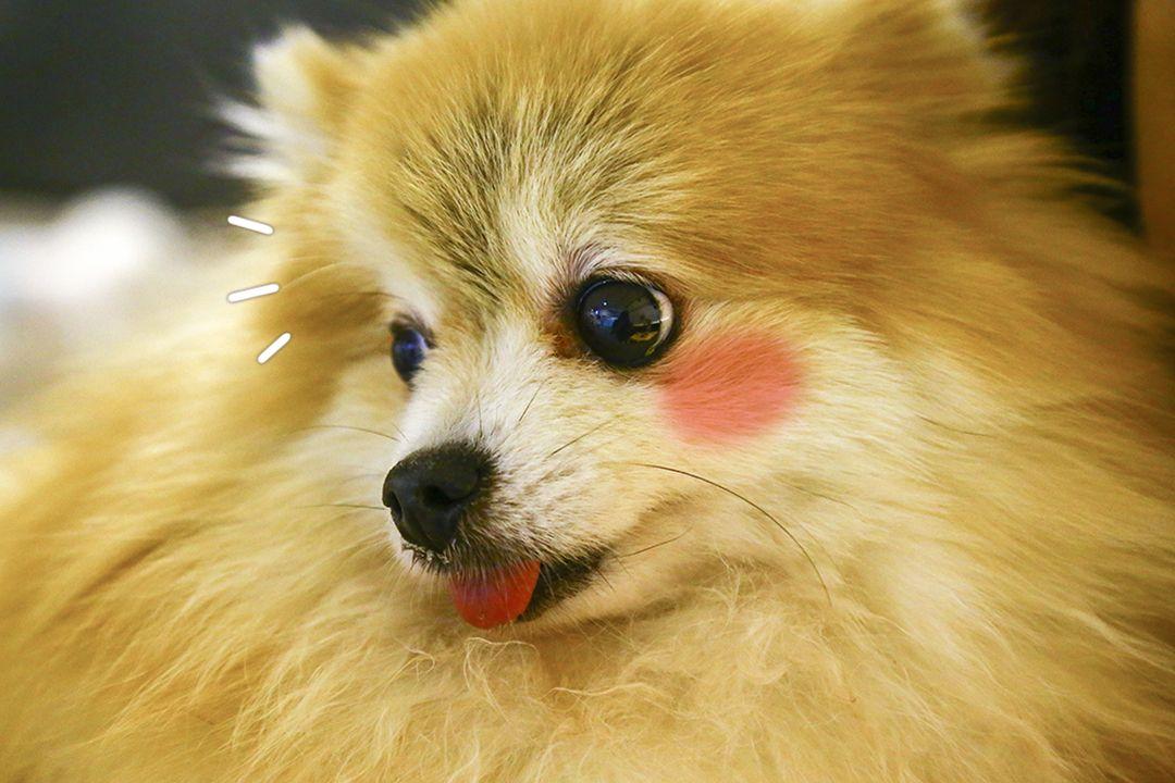 슬라이더 이미지