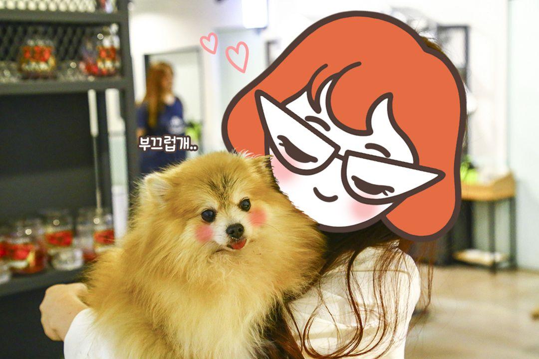 슬라이더 이미지
