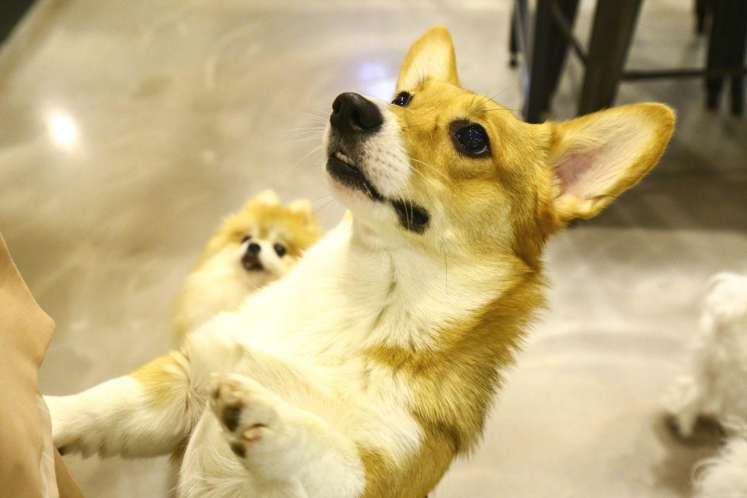 슬라이더 이미지