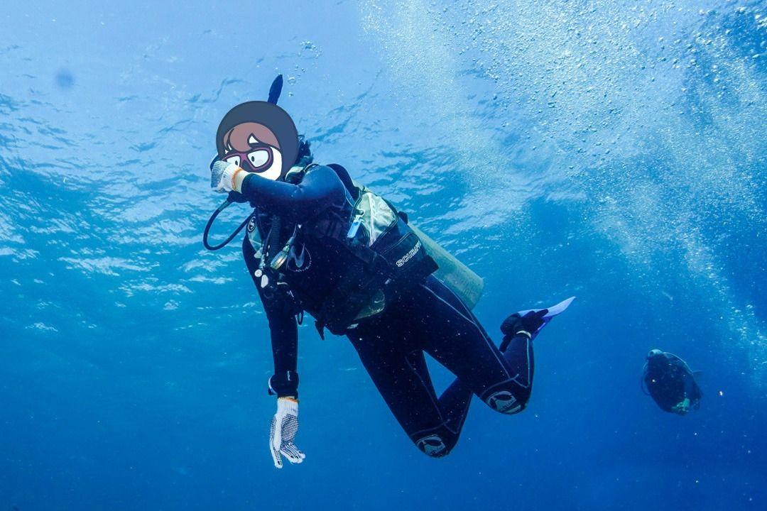 슬라이더 이미지