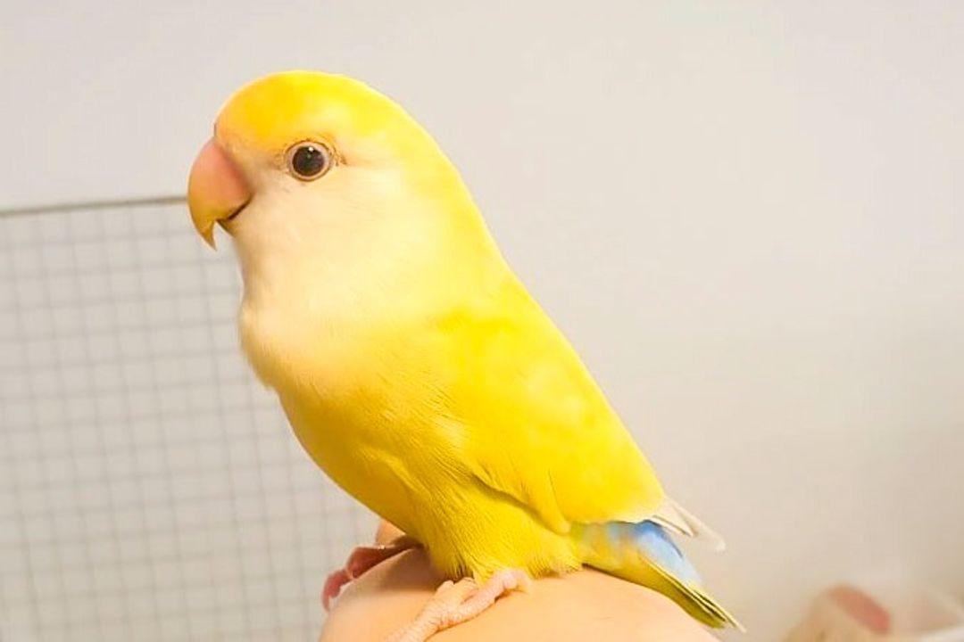 슬라이더 이미지