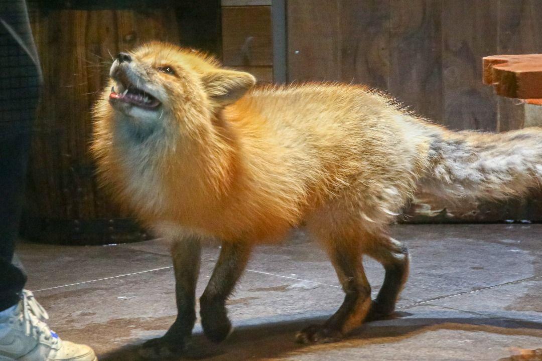 슬라이더 이미지
