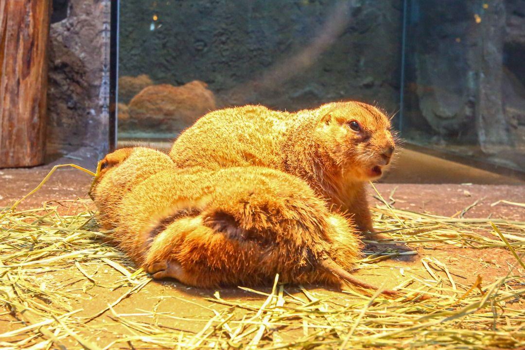 슬라이더 이미지