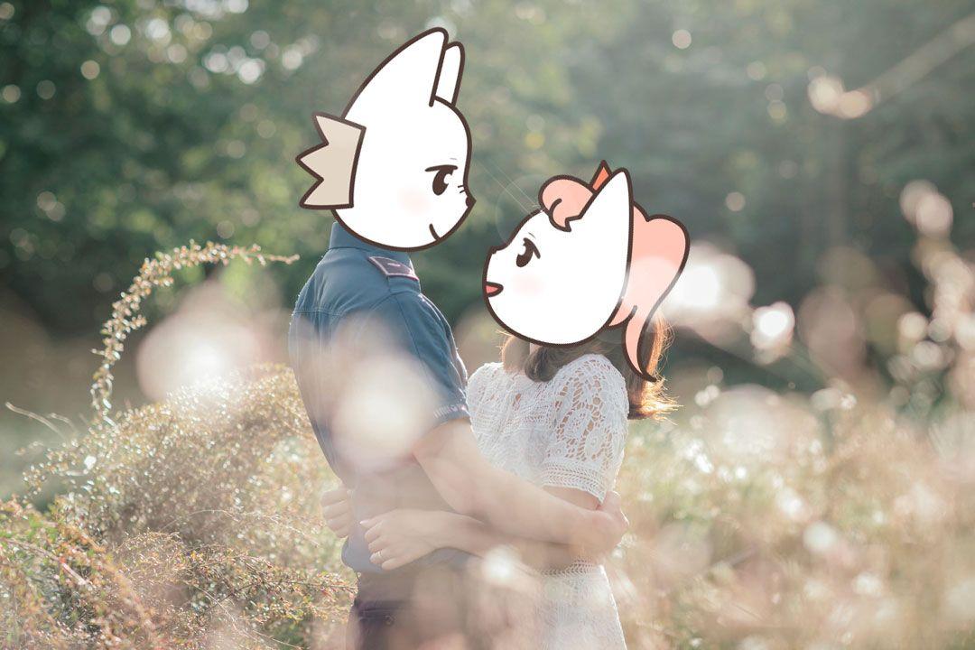 슬라이더 이미지