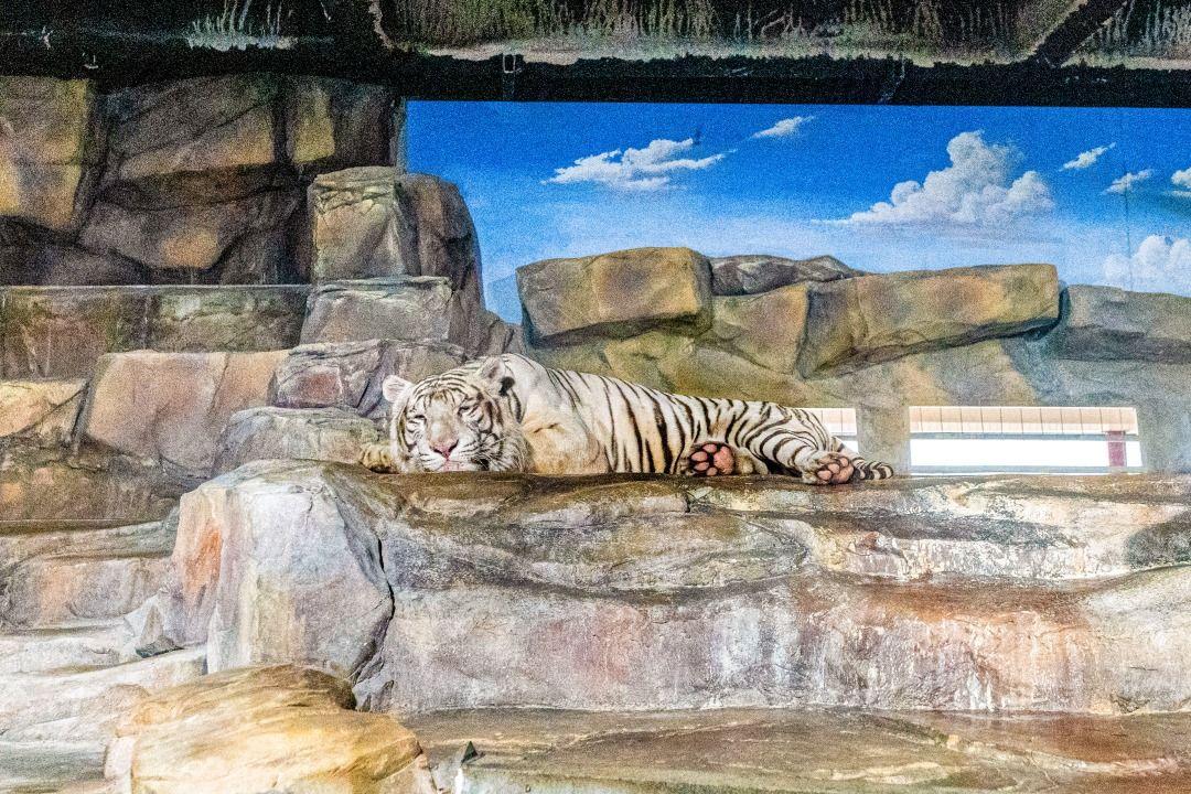 슬라이더 이미지