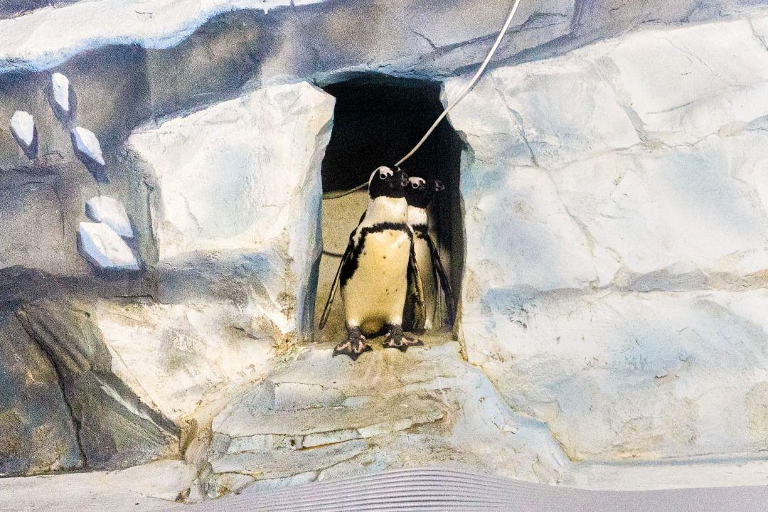 슬라이더 이미지