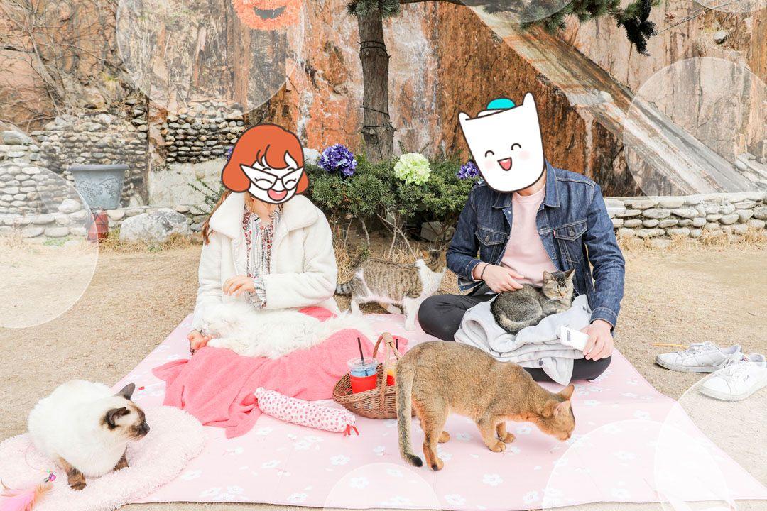 슬라이더 이미지