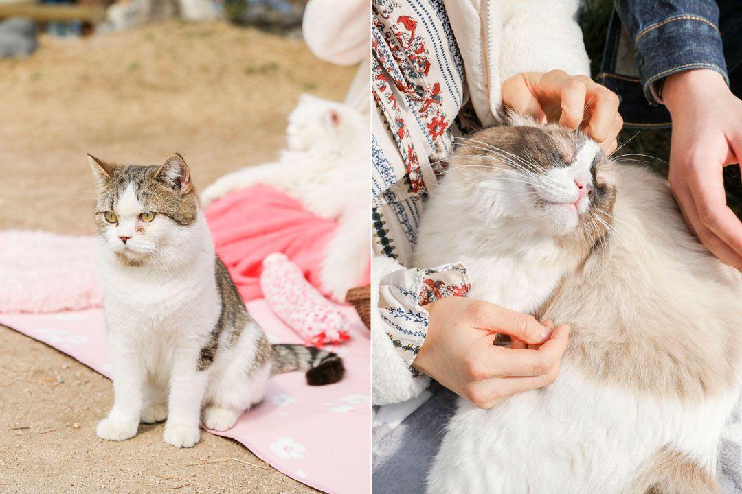 슬라이더 이미지