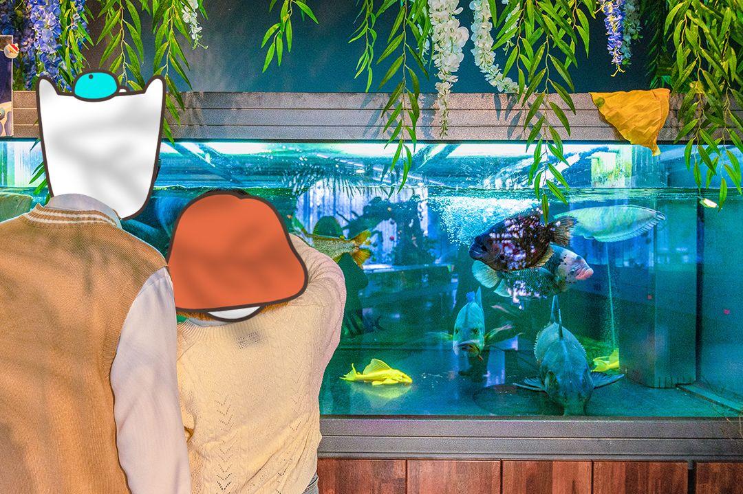 슬라이더 이미지