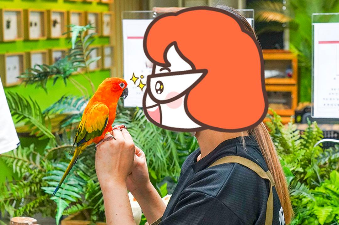 슬라이더 이미지