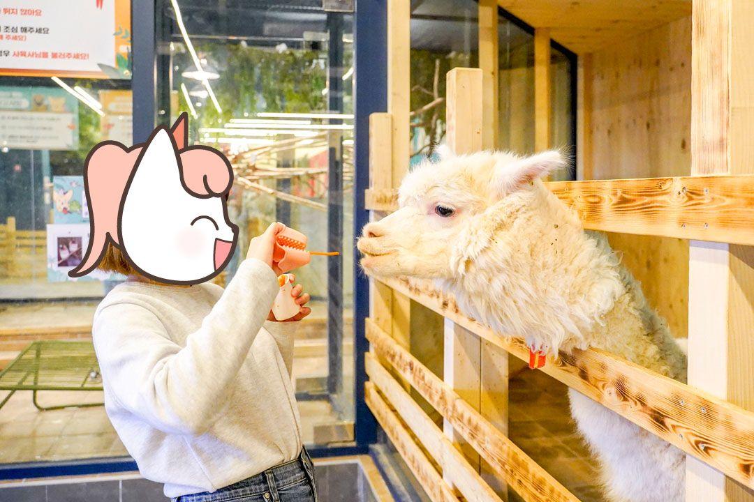 슬라이더 이미지
