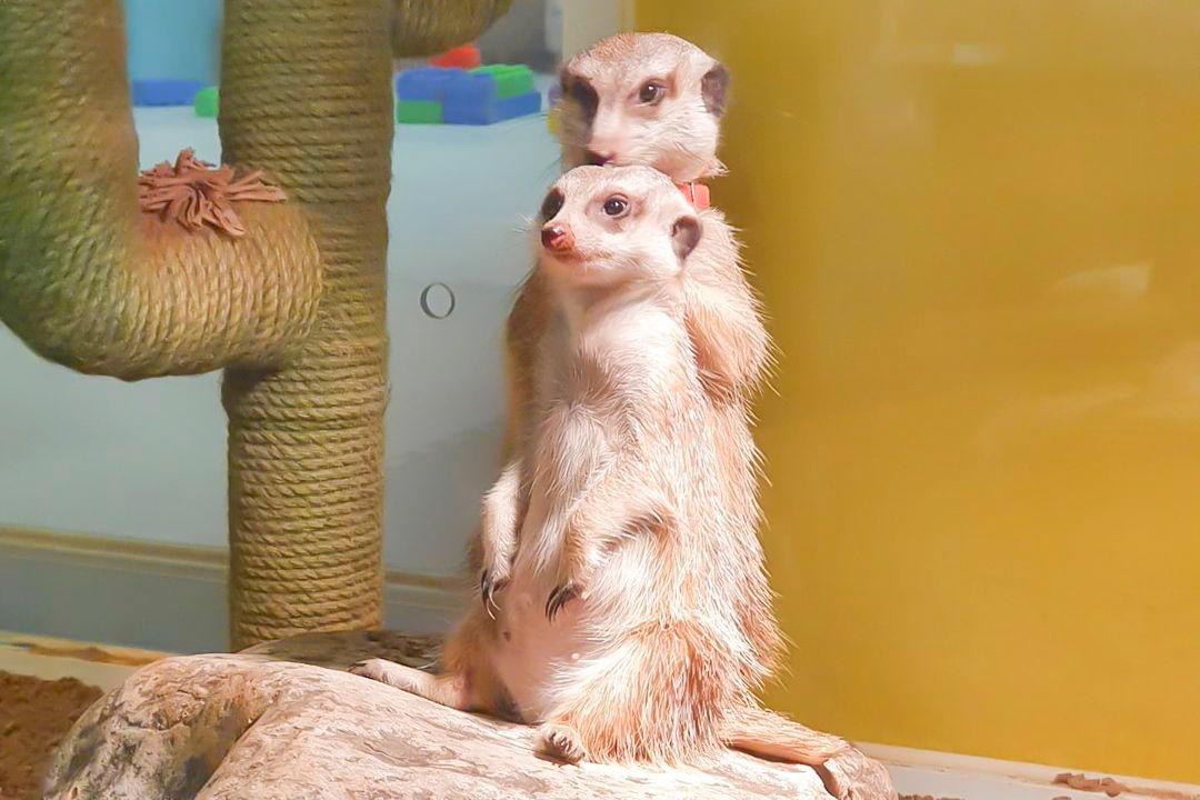 슬라이더 이미지
