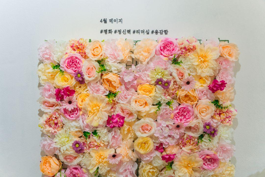 슬라이더 이미지
